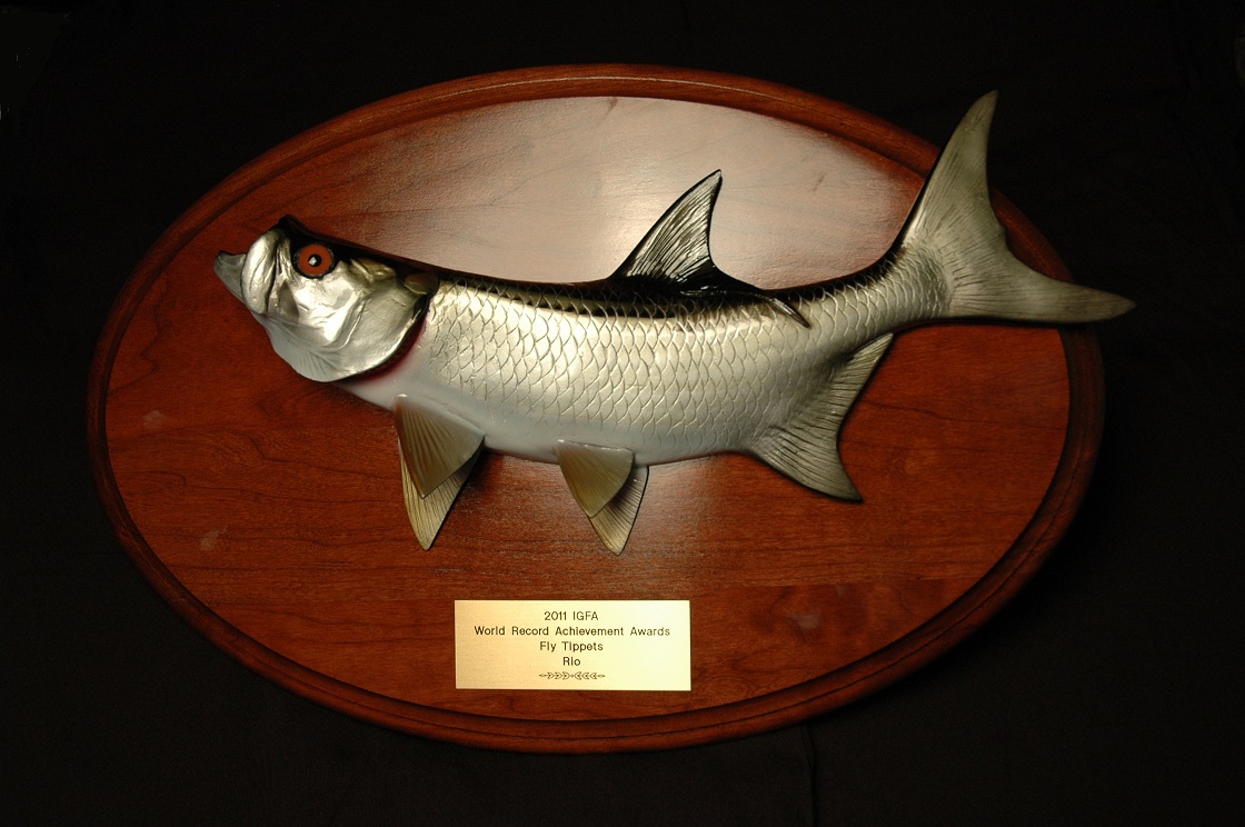 IGFA award IGFA award