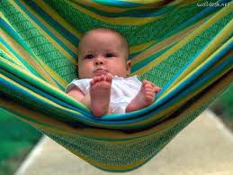 Grandparenting education on the newest trends! Grandparenting education on the newest trends!