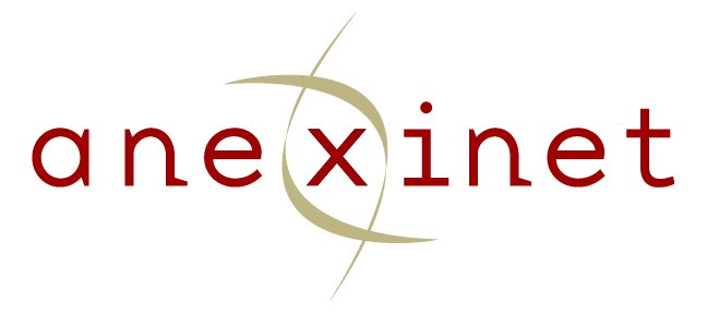 Anexinet logo Anexinet logo
