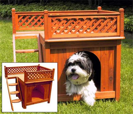 Story Dog House "room with a view" 2 story dog