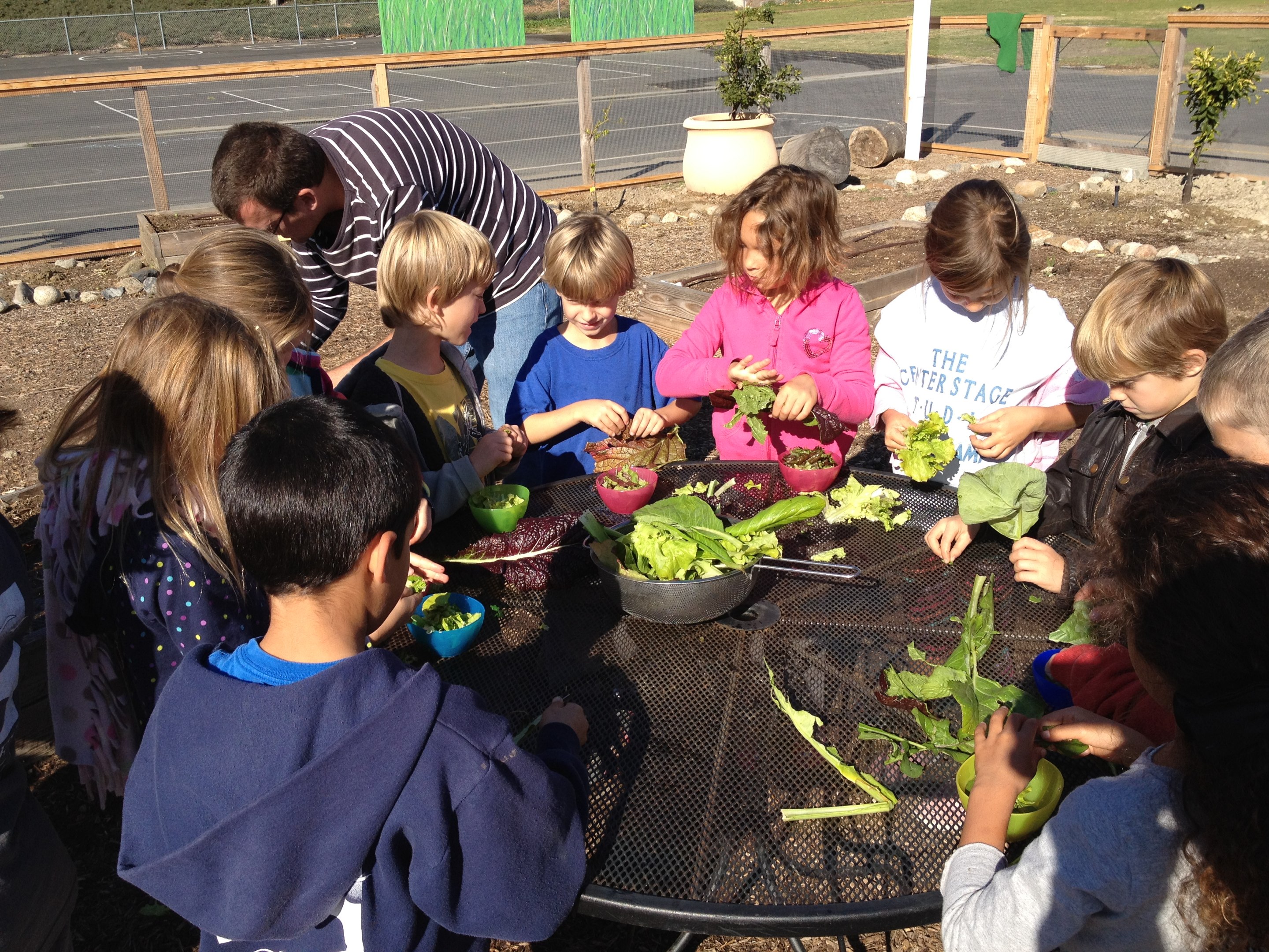 Students enjoying their harvest Students enjoying their harvest