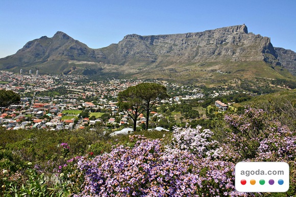 Table Mountain Table Mountain