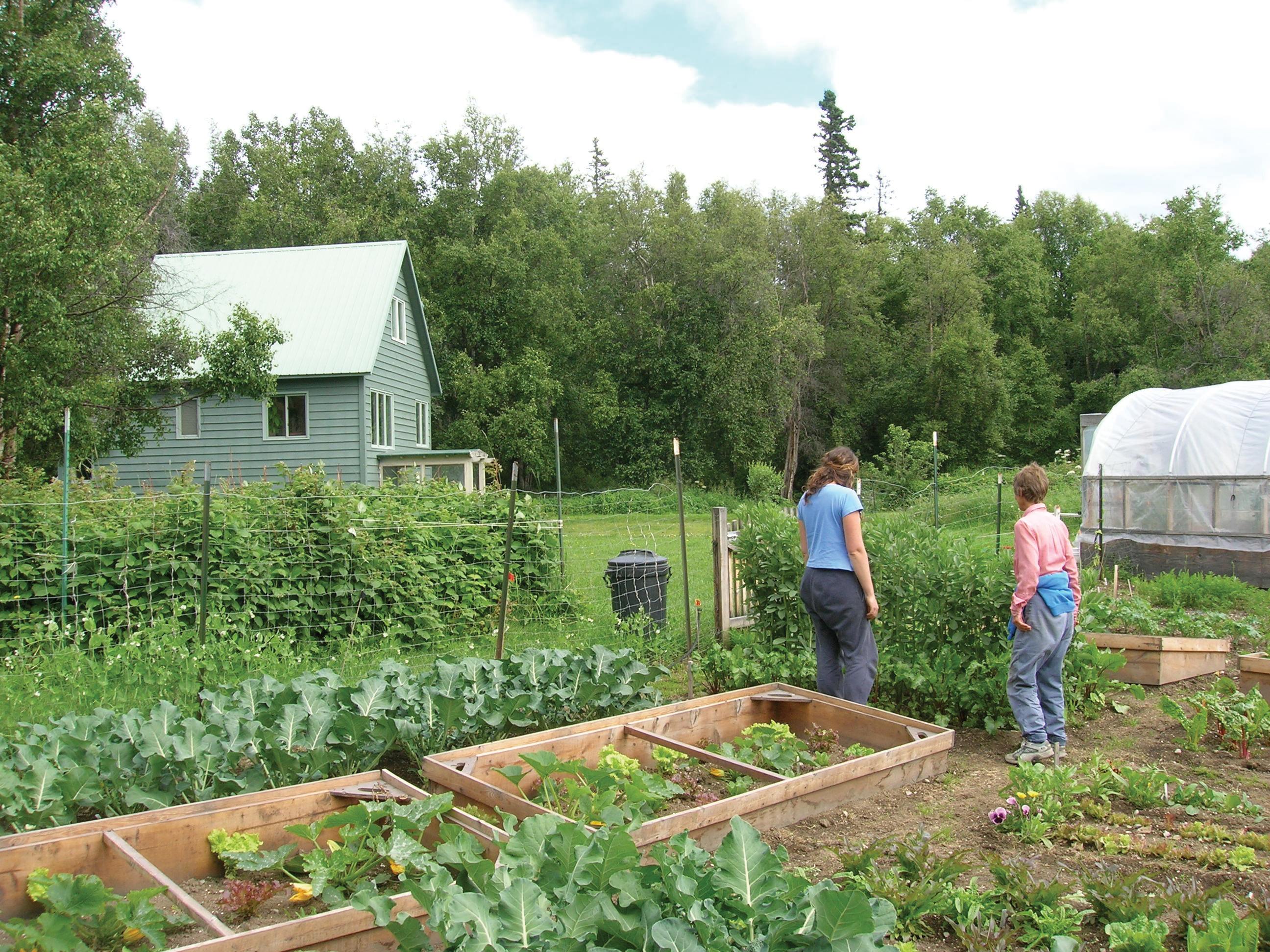 NOLS Alaska staff get to spend part of every day in the garden. NOLS/Michael Kampmann photo NOLS Alaska staff get to spend part of every day in the garden. NOLS/Michael Kampmann photo